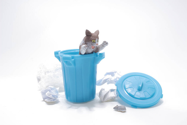 škála kočky, která se bojí krys s odpadkovým košem - Fotografie, Obrázek