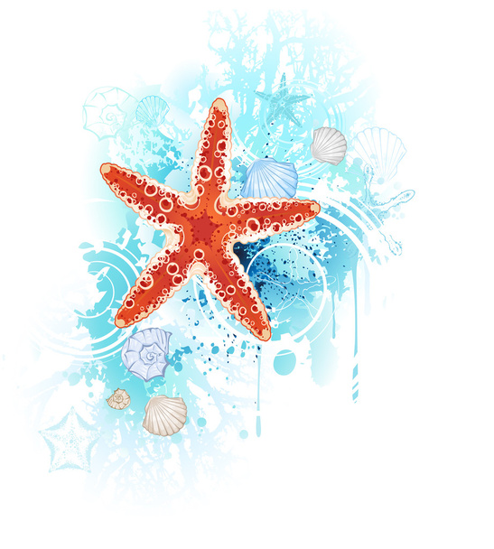red starfis - ベクター画像