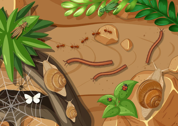 Вид сверху на различные виды насекомых в садовом рисунке - Вектор,изображение