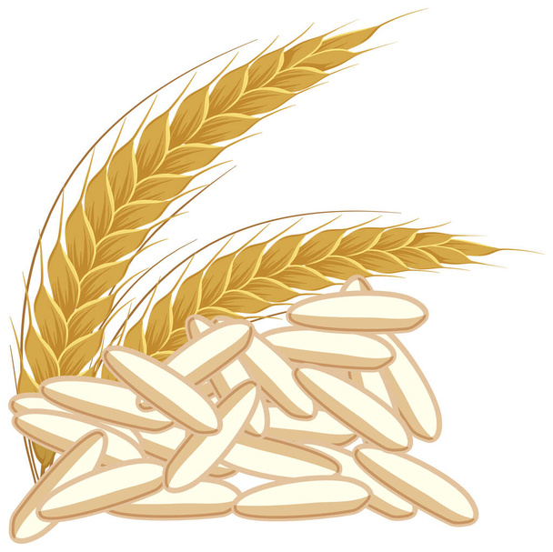 Eenvoudige rijstkorrels op witte achtergrond illustratie - Vector, afbeelding
