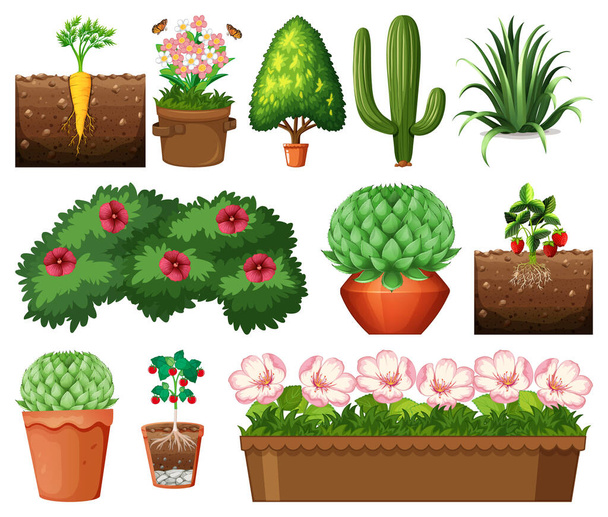Set of different plants in pots isolated on white background illustration - Vector, Image