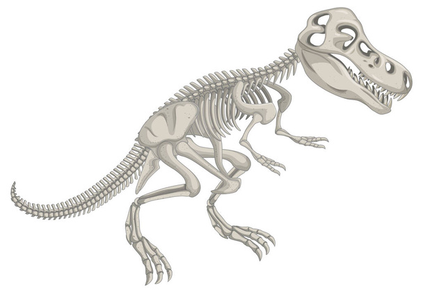 Esqueleto de dinosaurio sobre fondo blanco ilustración - Vector, Imagen