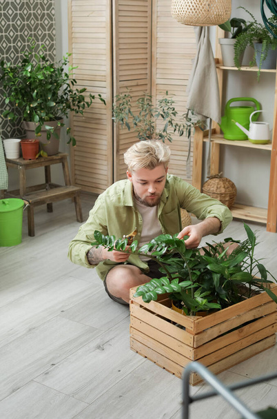 Giovane che si prende cura delle piante a casa - Foto, immagini