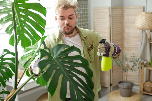 Νεαρός που φροντίζει τα φυτά στο σπίτι - Φωτογραφία, εικόνα