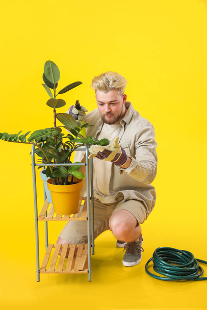Young male gardener on color background - Foto, Imagem