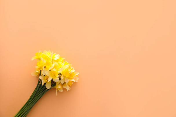 Beautiful daffodils on color background - Фото, изображение