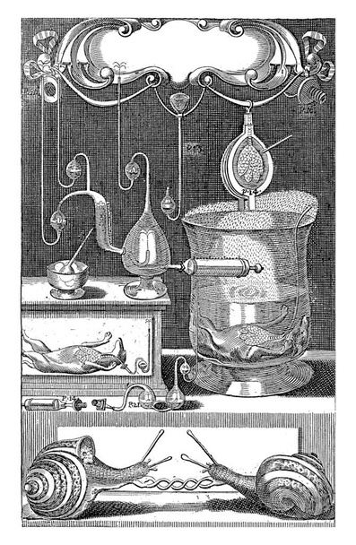 Laboratory with scientific instruments. Page numbers are displayed on some instruments. On the right a dog with visible lungs in strong water. - Photo, image