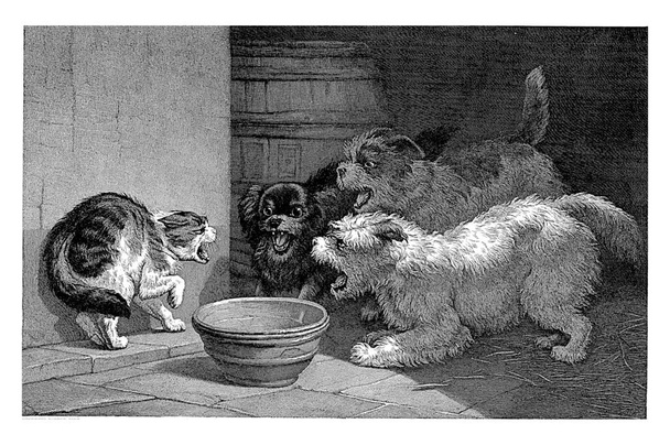 A blowing cat is barked by three dogs. Between them is a dish. - Φωτογραφία, εικόνα