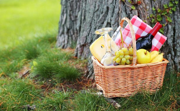 Picnic basket with food near a tree - Foto, Imagen