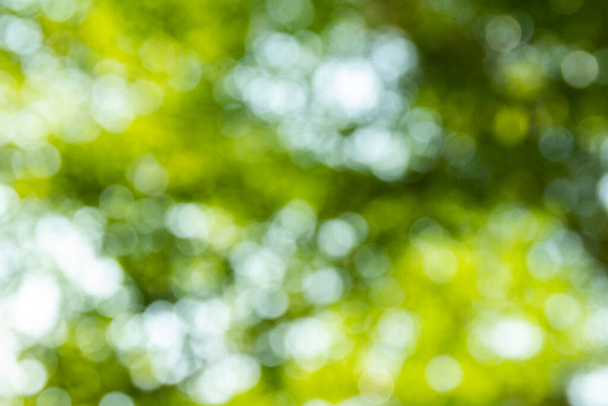 Naturalny zielony bokeh abstrakcyjne tło - Zdjęcie, obraz