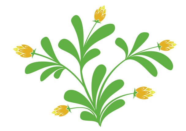 Vector πράσινο φυτό με τα πορτοκαλιά λουλούδια - Διάνυσμα, εικόνα