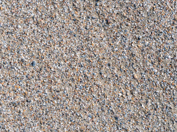 Divers fragments de coquillages cassés sur la plage de sable. Texture de fond avec de petits fragments de coquillages - Photo, image