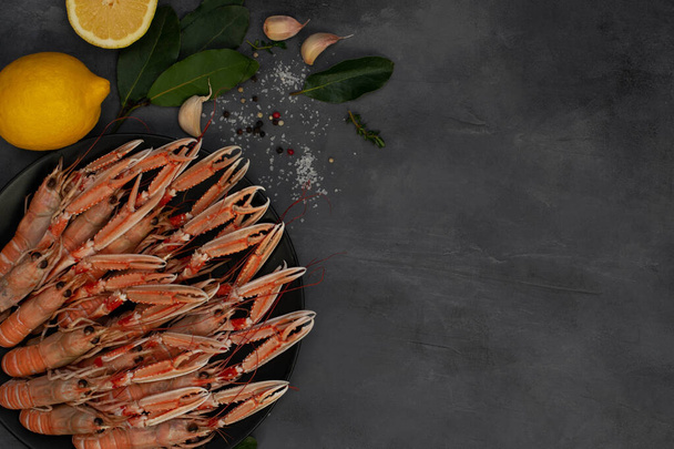 Boiled langoustines on black plate isolated on gray concrete table. Served with lemon and spicy herbs. - Foto, Imagem