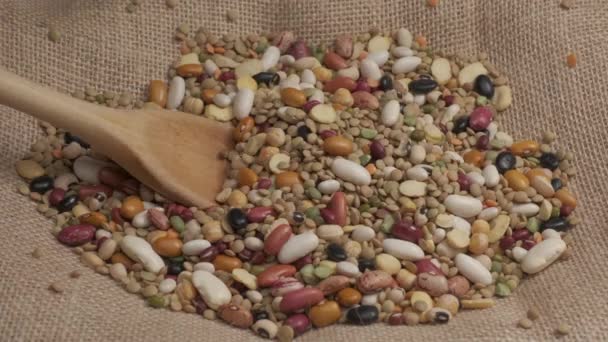 Mixed legume organic agriculture, wooden spoon, vegan vegetarian protein source food - Materiał filmowy, wideo