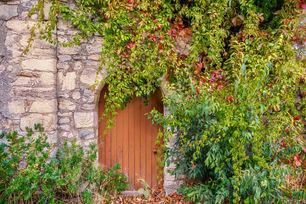 Widok ulicy starego kamiennego wejścia dom w Prowansji, Francja, gdzie vintage okrągłe drzwi i ściany są częściowo pokryte przez ładne winorośle wspinaczkowe. - Zdjęcie, obraz