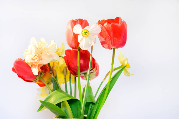 bouquet of beautiful flowers on light background, spring concept, close view   - Foto, Imagem