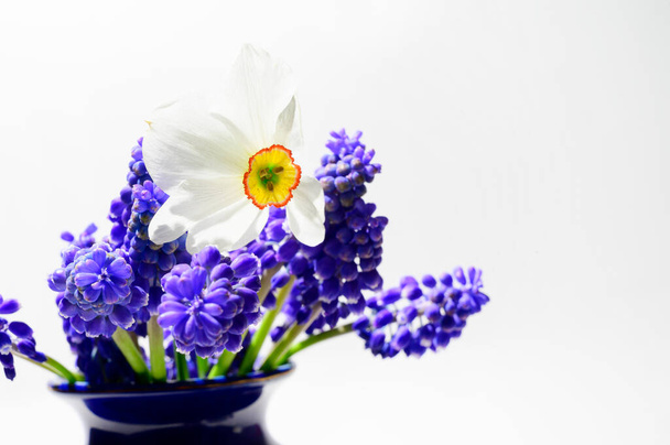 gyönyörű nárciszvirág és egér jácintvirág vázában fényháttérrel, tavaszi koncepció, közelkép   - Fotó, kép