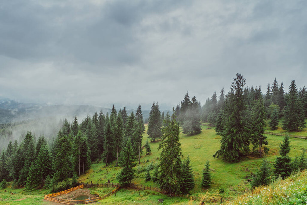 A landscape of hills covered in greenery and fog under a cloudy sky - perfect for wallpapers - Photo, Image