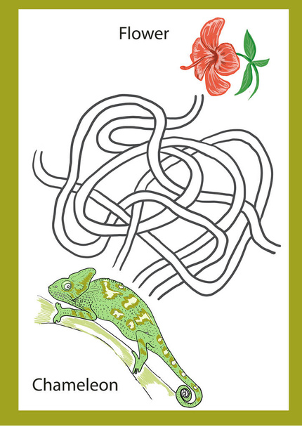 Chameleon animals exotic hand drawn coloring game maze for kids with lettering and alphabet print book - Photo, Image