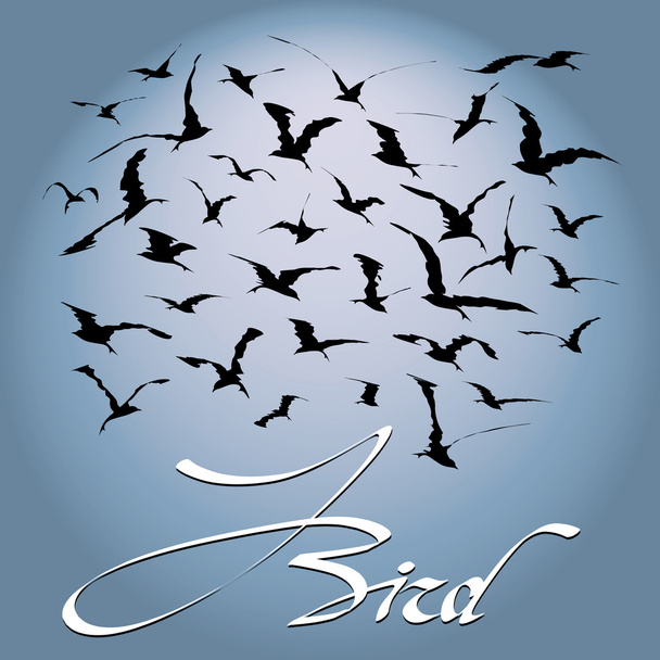 bandada de aves que se elevan en el cielo sobre un fondo del disco solar
 - Foto, imagen