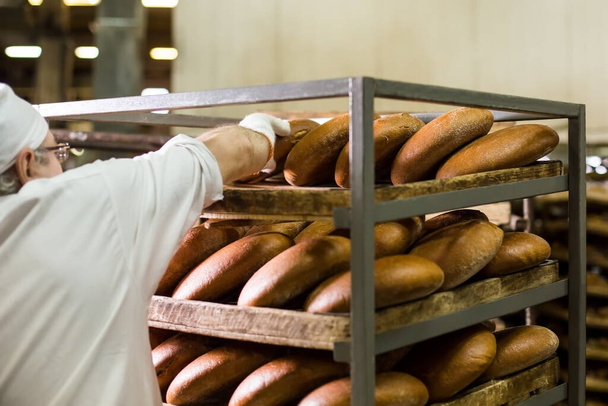 Worker at bread factory. Rack with freshly baked bread. - 写真・画像
