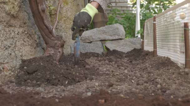 фермер с помощью лопаты готовит почву, сгребает почву для органического земледелия, домашний сад - Кадры, видео
