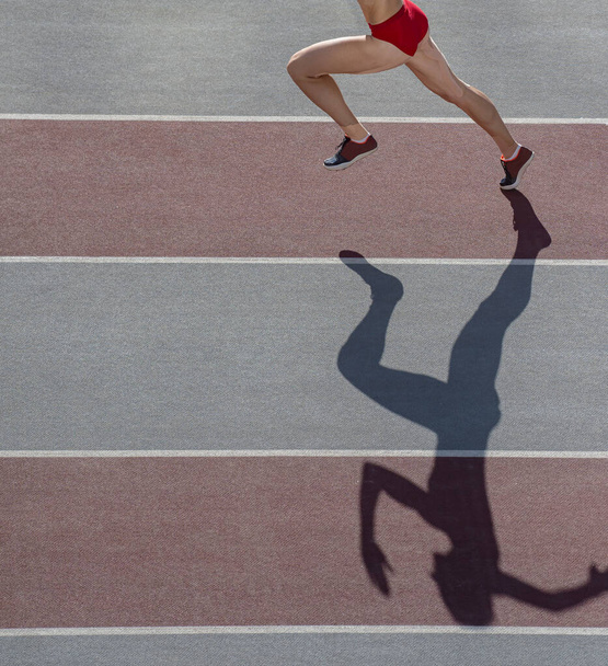 Běloška běloška běhá v siluetě na pozadí stadionu. Profesionální sportovní koncept - Fotografie, Obrázek