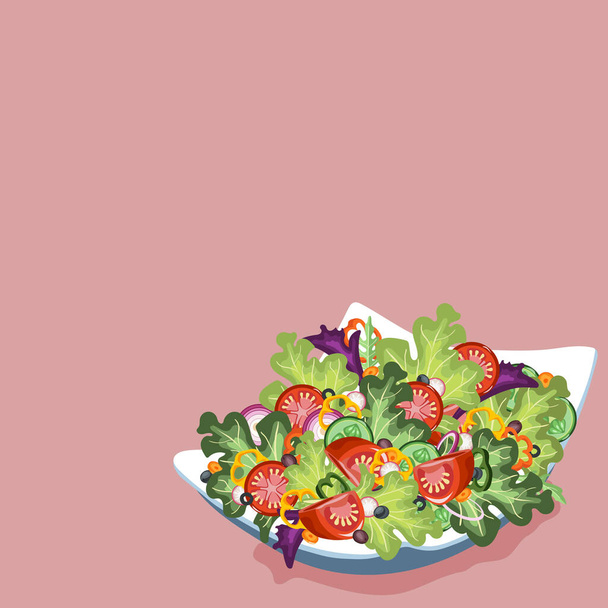 Salad Vector culinary collection background with place for your text - Vector, Image