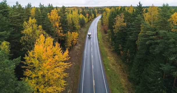 Truck on a autumn color road, aerial, drone shot, of a vehicle on a route, in middle of fall forest, dark, cloudy, fall day, in Scandinavia - Φωτογραφία, εικόνα