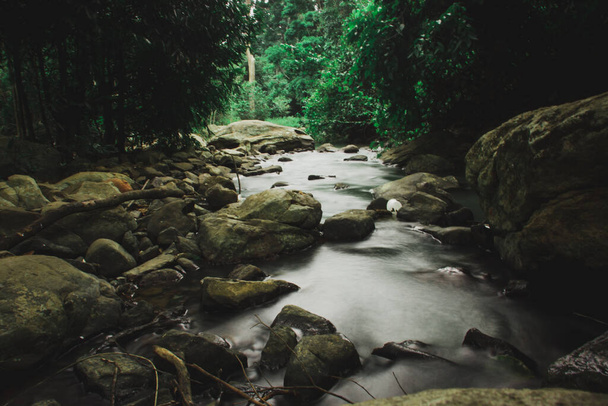 Струмок, що тече по скелях у зеленому листяному лісі
 - Фото, зображення