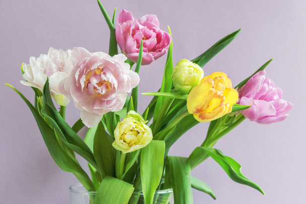 A bouquet of beautiful tulips on a lilac background . - Фото, зображення
