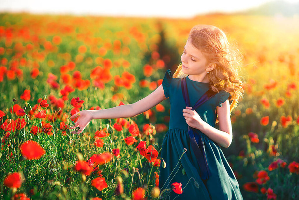 beautiful girl in poppy field enjoys the beauty and aromas. - Foto, Imagem
