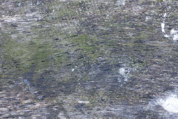 The gray surface of old perforated boards with spots from bird droppings and moss, close-up. - Фото, зображення
