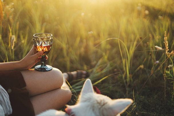 Mulher elegante que gosta de beber em vidro e cão branco na luz do pôr do sol no prado de verão, copo de vinho de perto. Férias e piquenique com animal de estimação. Jovem boho fêmea relaxante com cachorro pastor suíço - Foto, Imagem