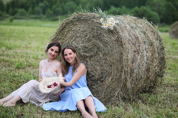 Duas meninas bonitas em vestidos no campo de verão com berrie
 - Foto, Imagem