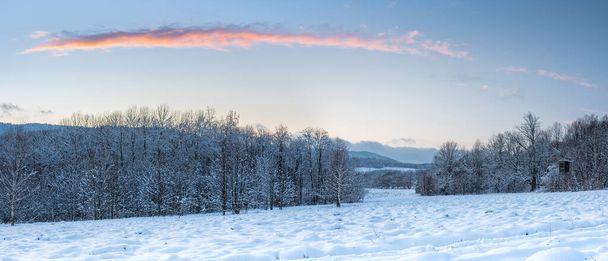 Paisaje invernal en las montañas, colinas cubiertas de nieve y árboles. Vista desde una ruta de senderismo en un día fresco. - Foto, imagen