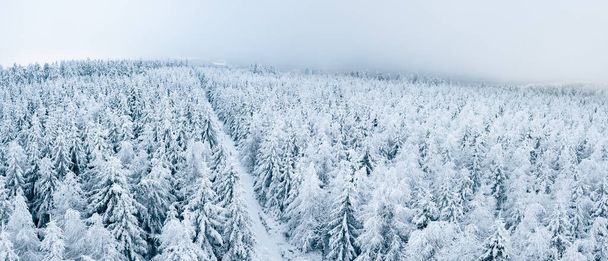 Verschneiter Wald mit Wanderweg, Winterlandschaft in den Sudeten. Der Blick vom Aussichtsturm auf dem Gipfel des Jagodna-Gebirges. Ein neblig-kalter Tag schränkt die Sicht in den Bergen ein - Foto, Bild
