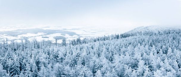 Snow-covered forest with a valley at the foot of the mountain, winter landscape in the Sudetes. The view from the observation tower at the top of the Jagodna Mountain. A foggy and cold day limits visibility in the mountains - 写真・画像