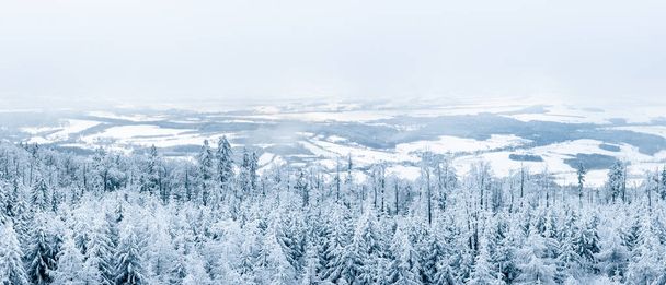 Ośnieżony las z doliną u podnóża góry, zimowy krajobraz w Sudetach. Widok z wieży widokowej na szczycie Góry Jagodnej. Mglisty i zimny dzień ogranicza widoczność w górach - Zdjęcie, obraz