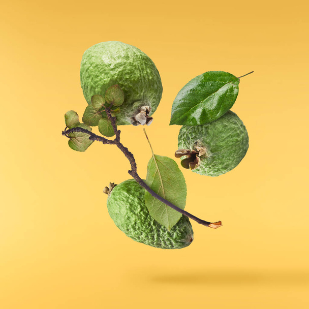 frische rohe Feijoa mit grünen Blättern, die isoliert auf gelbem Hintergrund in die Luft fallen. Ernährungslevitation oder Konzept der Schwerelosigkeit. hochauflösendes Bild - Foto, Bild