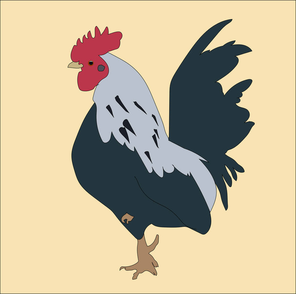 A graphical representation of a rooster for use as web decoration or on a Logo - Fotoğraf, Görsel