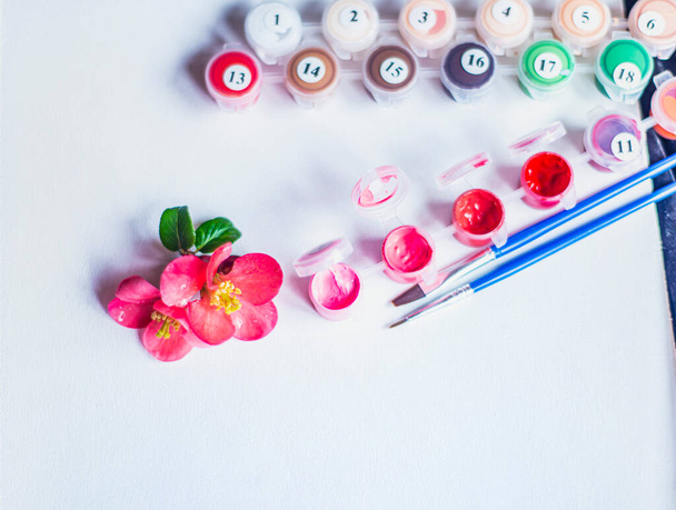 a blank sheet of paper and pink paints, paints in tubes with numbers of colors and brushes on a white canvas, paintings by numbers, a future painting and a set for creativity in light gentle colors - Foto, Imagen