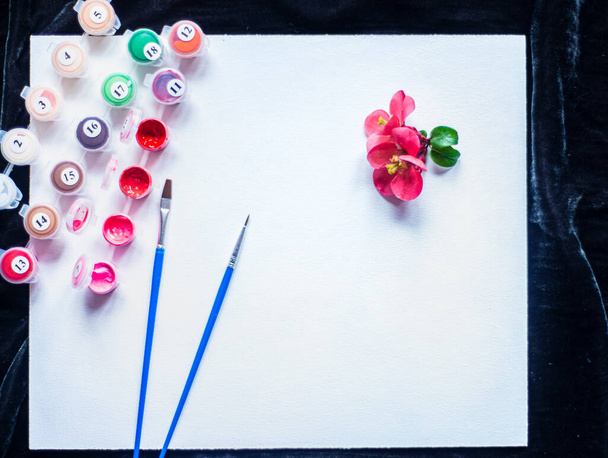 a blank sheet of paper and pink paints, paints in tubes with numbers of colors and brushes on a white canvas, paintings by numbers, a future painting and a set for creativity in light gentle colors - Photo, Image