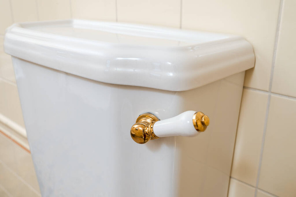 Tuvalet sifonu, su boşaltma düğmesi - Fotoğraf, Görsel