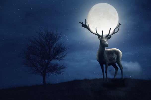 Il cervo indossa la luna piena nelle corna. Notte mistica con stelle - Foto, immagini