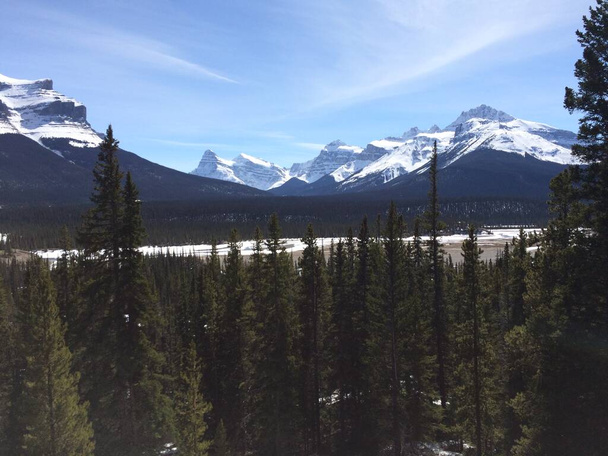 Scenic view of the Icefield Parkway on a sunny day - Photo, Image