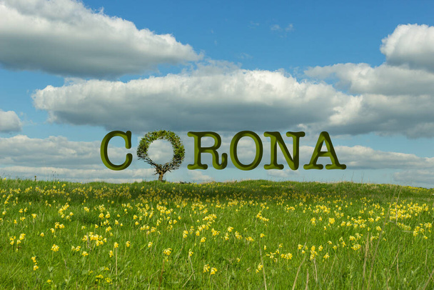 Corona virus in a meadow showing a tree - Photo, Image