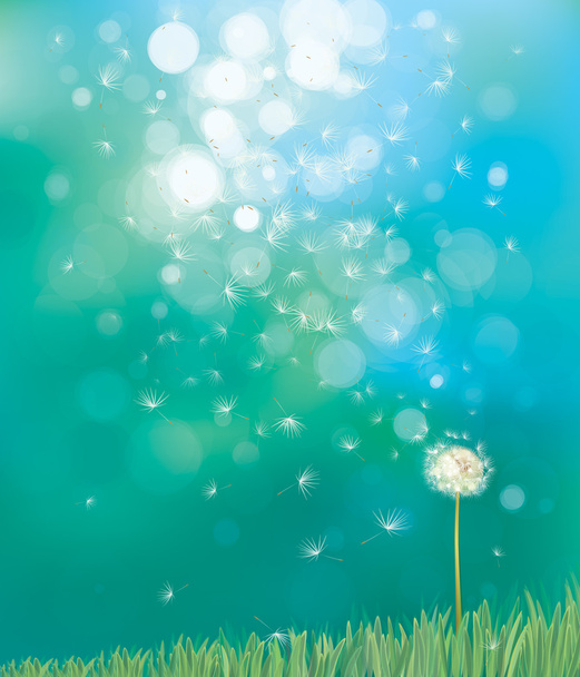 Vector of spring background with white dandelion. - Vector, Image