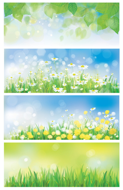 Banderas de naturaleza de primavera vectorial, hojas de abedul, diente de león y c
 - Vector, imagen