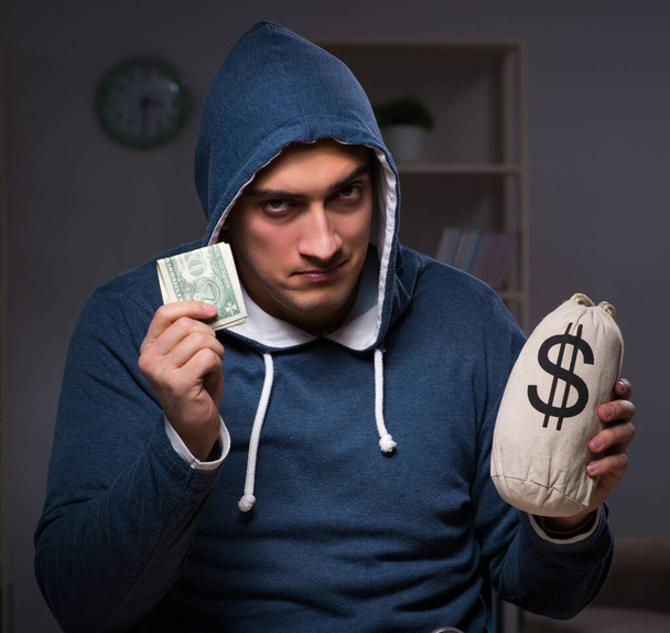 Hacker with sack of money - Фото, зображення